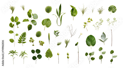 Ecology Themed Template on White. Natural Plants Flat Lay with Copy-space isolated on transparent background, png