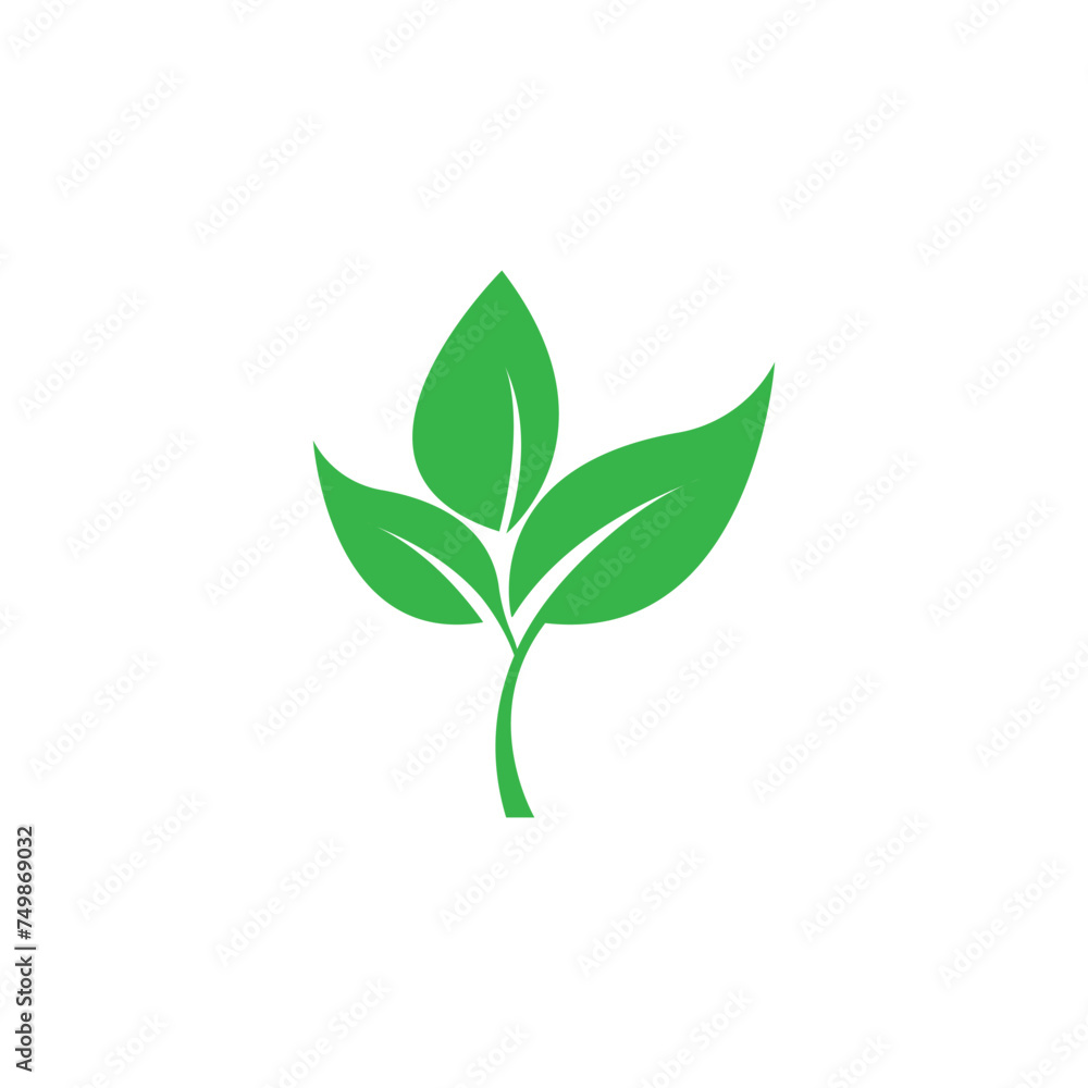 Leaves icon vector set isolated on white background. Various shapes of green leaves of trees and plants. Elements for eco and bio logos.
