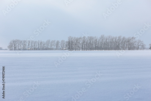 地吹雪舞い霞む元日の田園地帯 © acky.miya