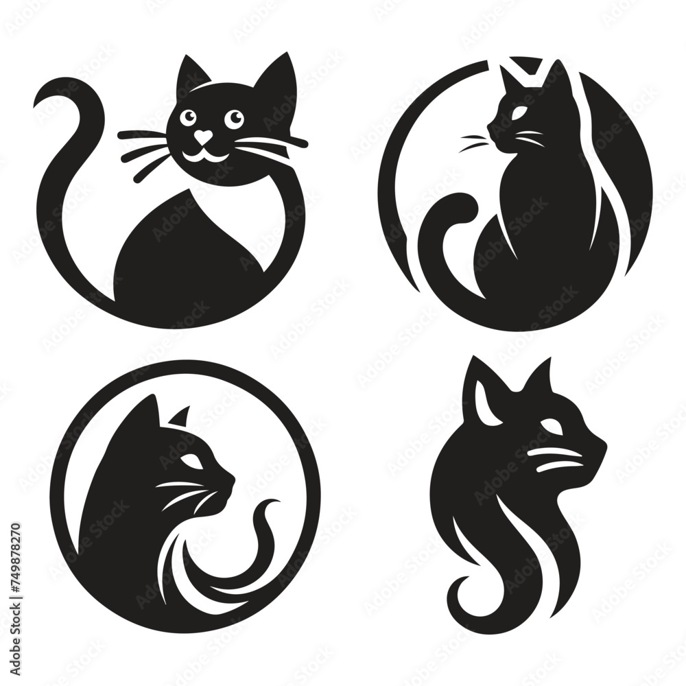 Fototapeta premium black and white cat