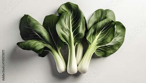 fresh pak choi cabbage isolated on white background top view flat lay photo