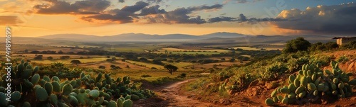 Panoramic view of the savannah