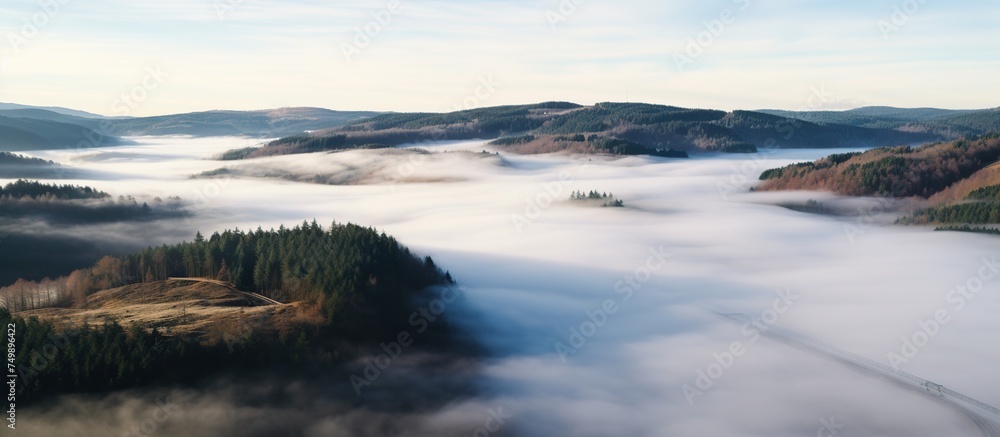 Aerial view of mountain peak with green trees in fog