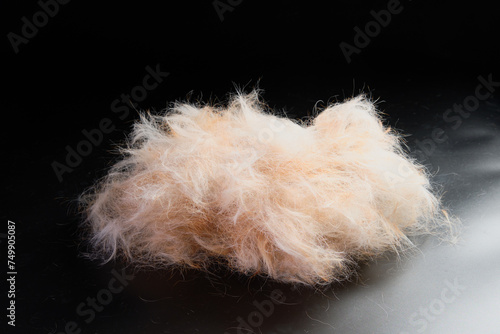 Close-up of the Jack Russell terrier's dog hair after trimming on a black background