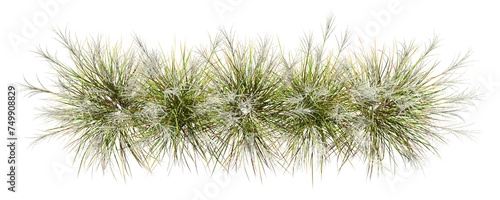 Top view nature savanna flora grass row for landscape realistic 3d rendering png