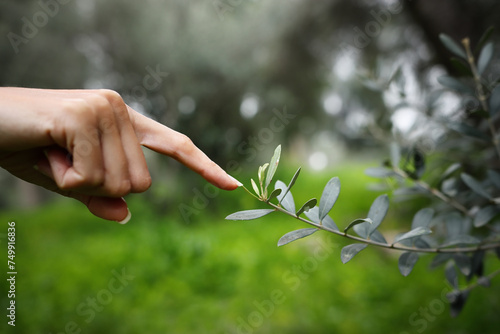 Woman hand touching tree branch. Concept of connection and nature care © tomertu