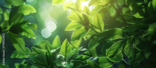 Green leaves foliage in natural morning blur background. Generated AI image