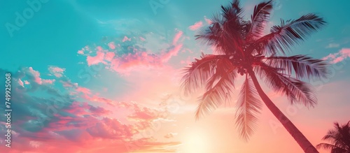 Beautiful silhouette of tropical beach with palm tree with sunset sky background. Generated AI image photo