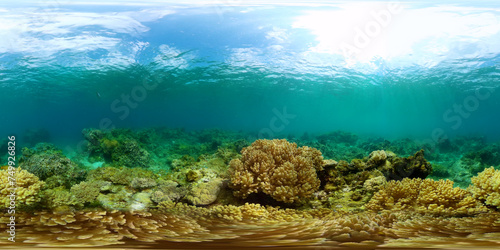 Underwater life scene. Colorful tropical fish and corals. Marine sanctuary, protected area. 360-Degree view.
