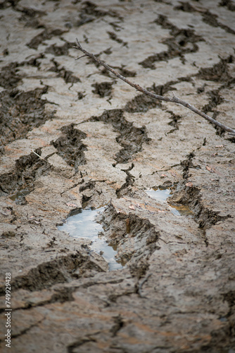 Texture of soil with water