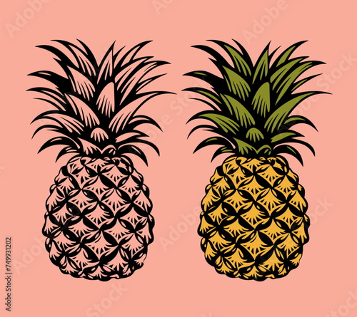 Vector illustration of pineapple