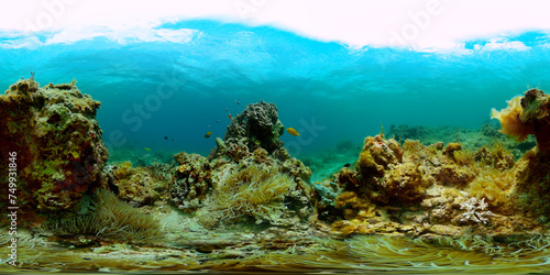 Fish and coral reefs under the sea. Coral underwater landscape. Monoscopic image.