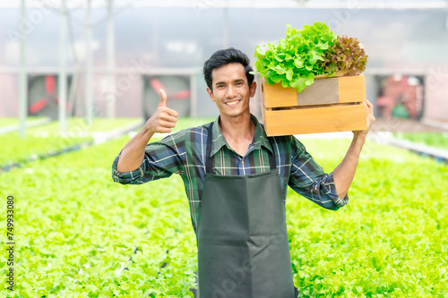 Happy smiling Asian man farmer showing thumb up holding basket with fresh organic vegetable in greenhouse