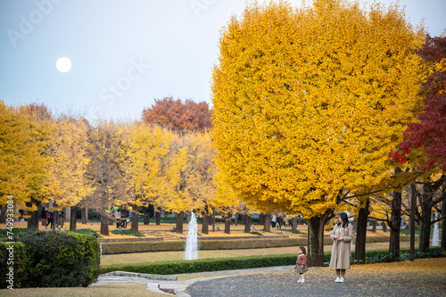 Asian mother and daughter enjoy scenery of yellow ginkgo tree in autumn in evening with moon in background. Autumn park in Tokyo, Japan.