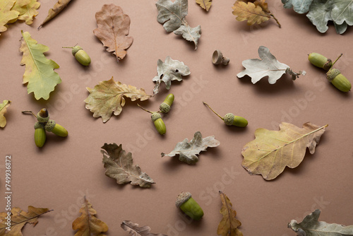 Natural autumn background with dry oak leaves brown surface