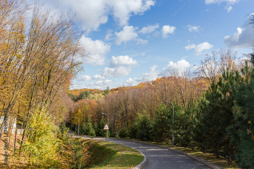Hilly winding section of local asphalt road in autumn forest
