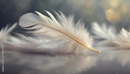 down feather soft white fluffly feather falling in ther swan feather