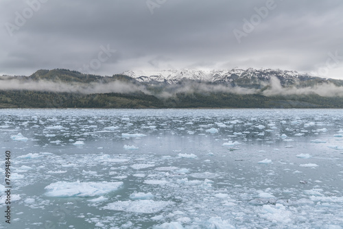 Ice and growlers floating in College Fjord with mist in the snow capped mountains behind, Alaska, USA