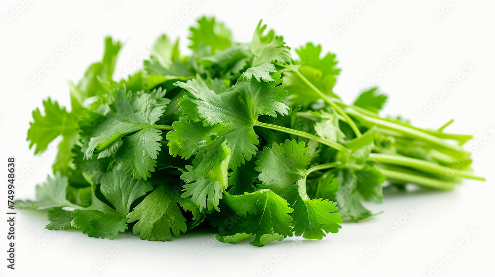 Buch of fresh parsley leaves isolated on white background Buch of fresh parsley leaves isolated on white background