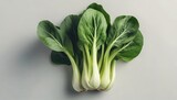 fresh pak choi cabbage isolated on white background top view flat lay