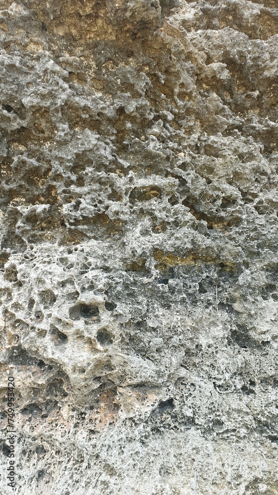 A close-up of a relief rock formation A close-up of a relief rock formation