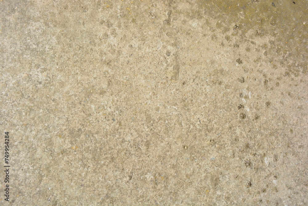 A worn-out reinforced concrete wall of greenish gray on the sunny rays A worn-out reinforced concrete wall of greenish gray on the sunny rays