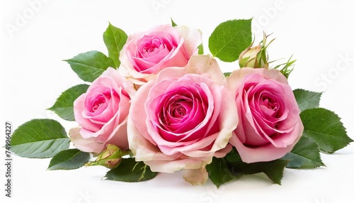 pink rose flowers in a floral arrangement isolated on white or transparent background