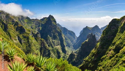 jungle mountain landscape on green mountain landscape in madeira portugal