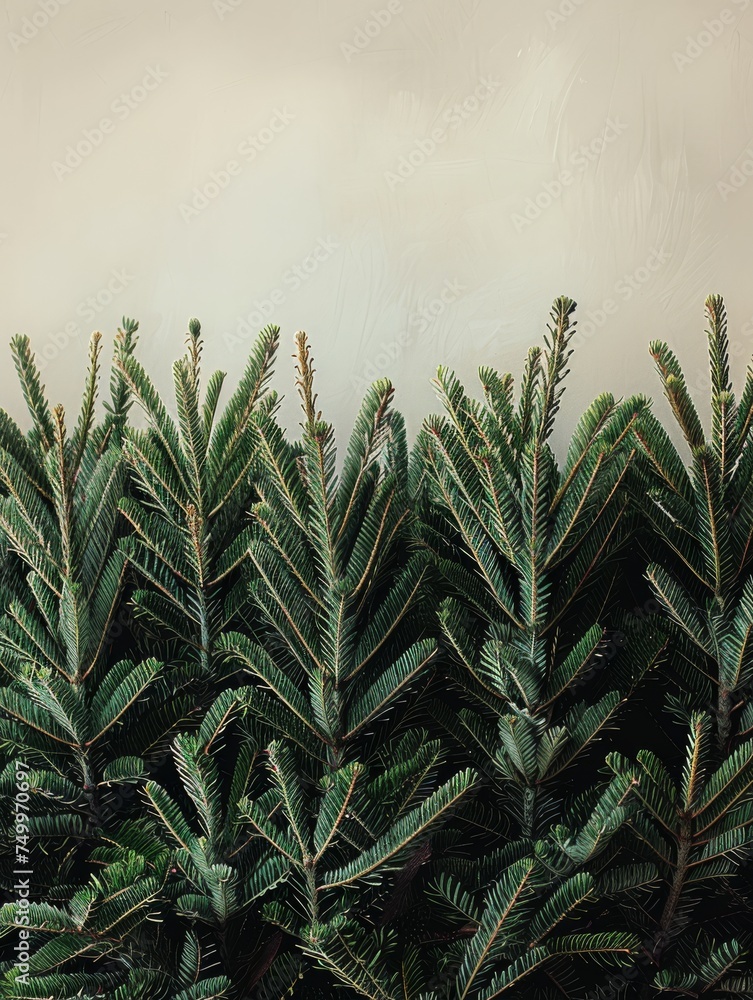 Fototapeta Green Plants in Front of White Wall