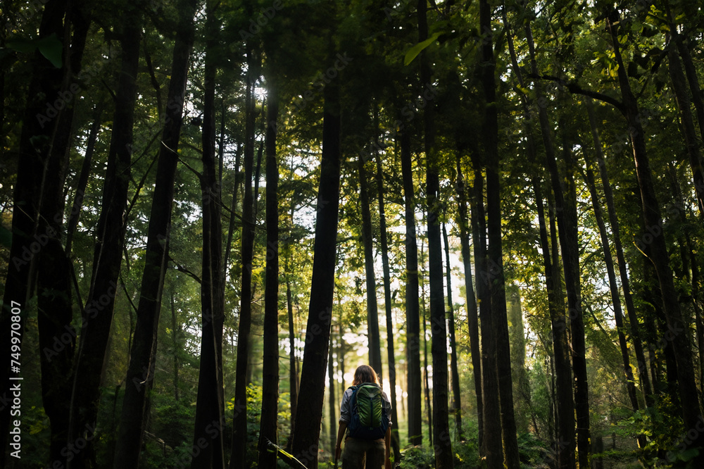 Naklejka premium 森の中の女性