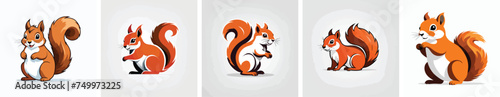 squirrel logo vector icons