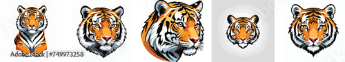 tiger logo vector icons