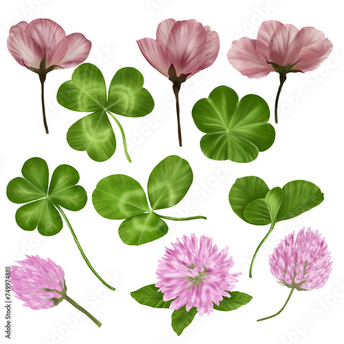 St. Patrick's Day set. Clover and flower