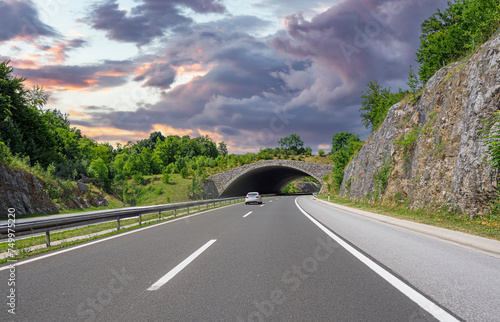 Bridge for animals on the highway. Croatia.