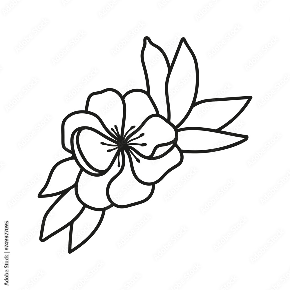 Hand drawn vector flowers potentilla with foliage