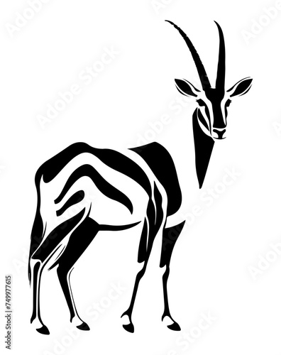 Gemsbok standing an locking black vector design against white background 