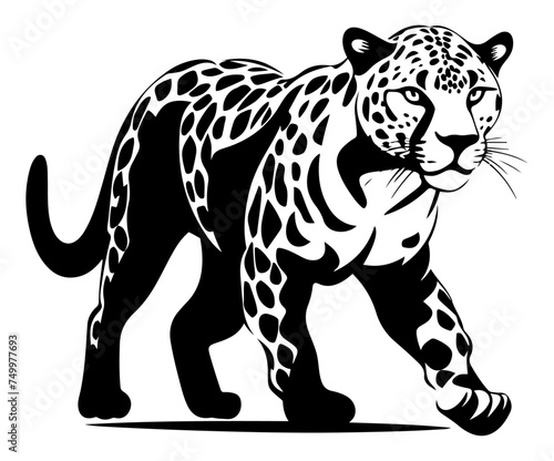 Leopard goes quietly forward, detailed illustration showcasing the magnificent spotted coat and powerful stance, black vector design against white background 