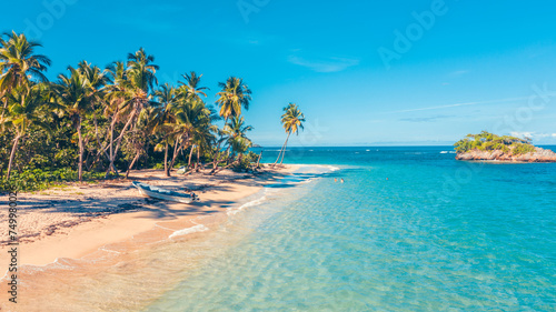 Caribbean beach in the paradise with palms tree