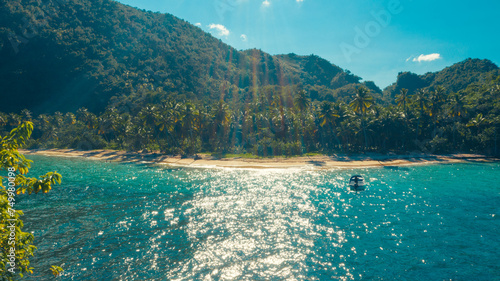 Caribbean beach in the paradise with palms tree