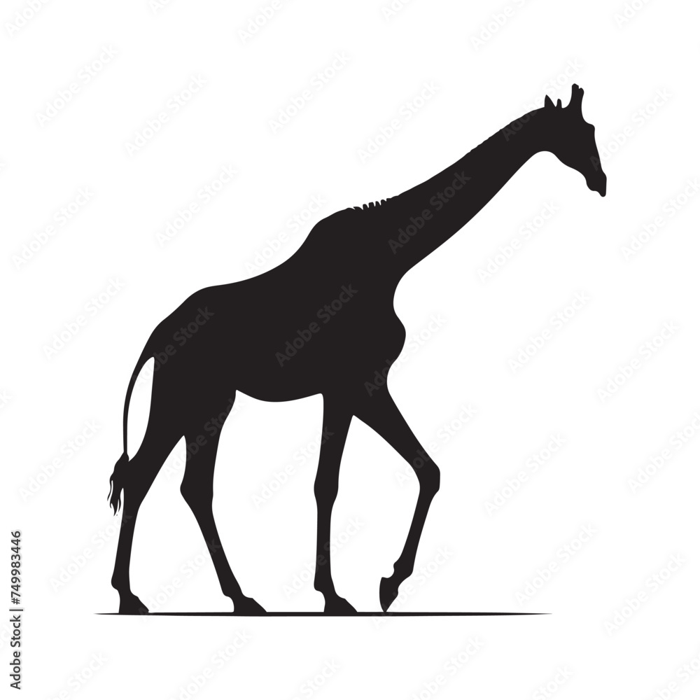 Obraz premium Graceful Giants: Vector Giraffe Silhouette - Capturing the Elegance and Majesty of Africa's Tallest Land Mammal. Minimalist Giraffe Vector, Giraffe Illustrtion.