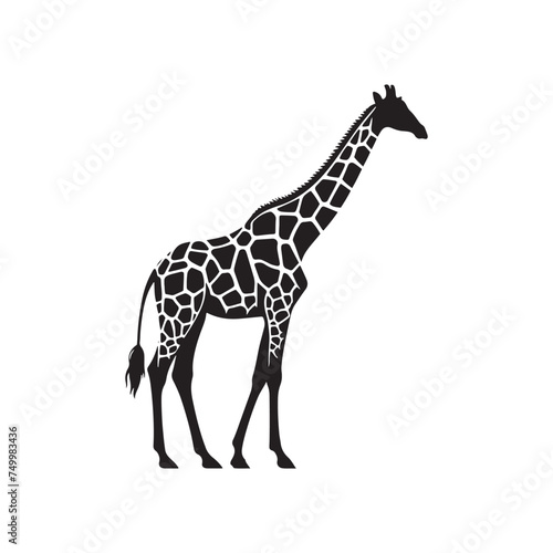 Graceful Giants: Vector Giraffe Silhouette - Capturing the Elegance and Majesty of Africa's Tallest Land Mammal. Minimalist Giraffe Vector, Giraffe Illustrtion.