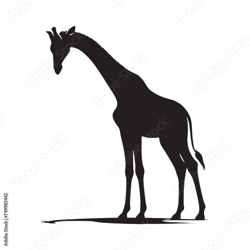 Graceful Giants: Vector Giraffe Silhouette - Capturing the Elegance and Majesty of Africa's Tallest Land Mammal. Minimalist Giraffe Vector, Giraffe Illustrtion.