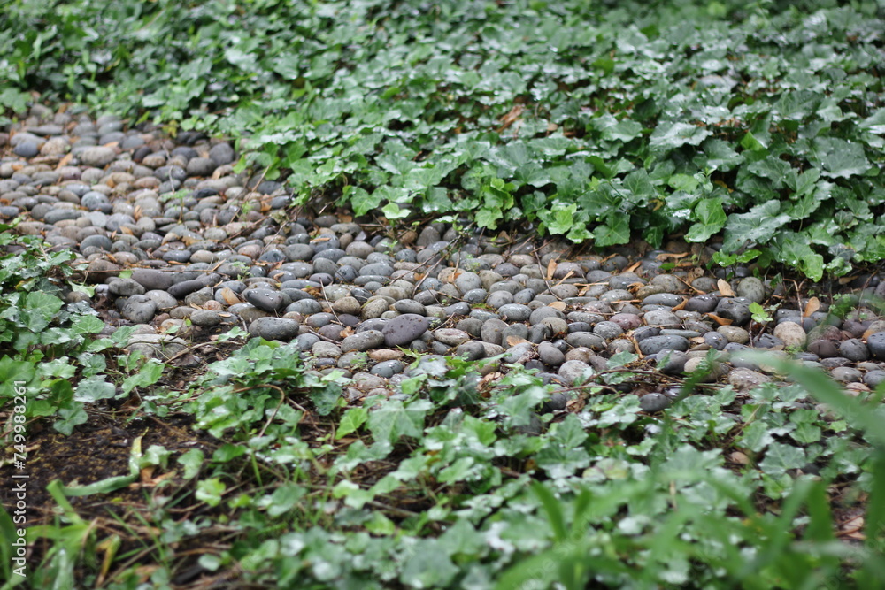 A simple gravel path in the garden. A simple gravel path in the garden.