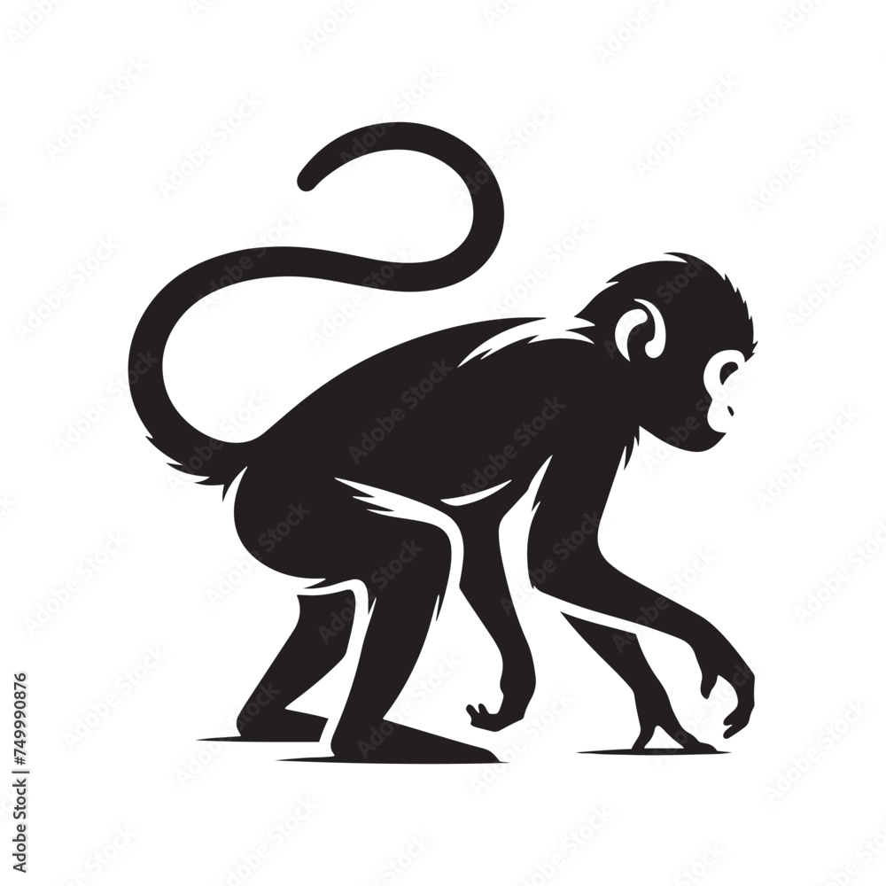 Obraz premium Primal Elegance: Vector Monkey Silhouette - Capturing the Agile and Playful Spirit of Primates in Striking Form. Monkey illustration, Monkey Vector.