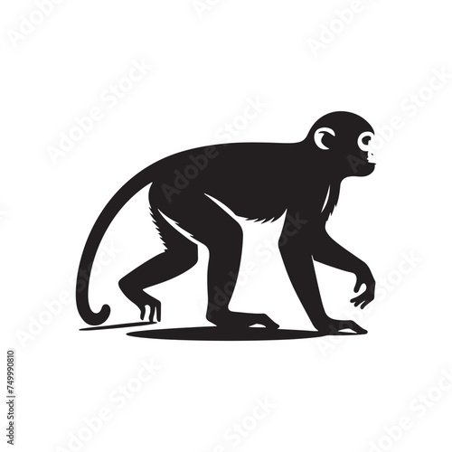 Primal Elegance  Vector Monkey Silhouette - Capturing the Agile and Playful Spirit of Primates in Striking Form. Monkey illustration  Monkey Vector.