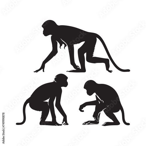 Primal Elegance: Vector Monkey Silhouette - Capturing the Agile and Playful Spirit of Primates in Striking Form. Monkey illustration, Monkey Vector.