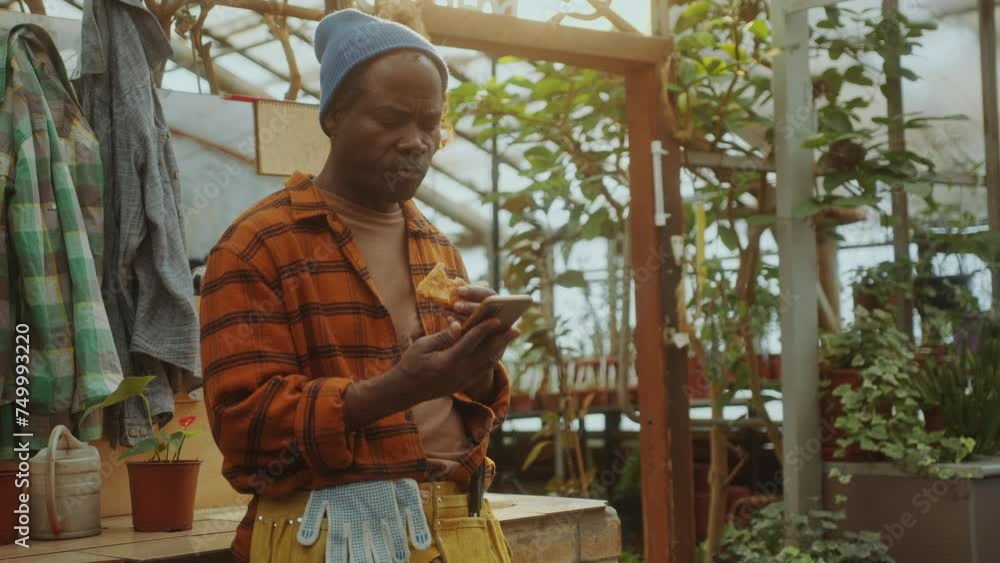 Senior Black farmer standing in greenhouse filled with warm sunshine, eating pastry and using mobile phone during lunchtime Senior Black farmer standing in greenhouse filled with warm sunshine, eating pastry and using mobile phone during lunchtime
