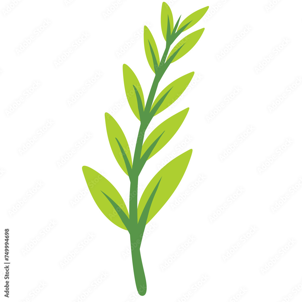Fototapeta premium Green Leaves, tropical leaves, leaf,