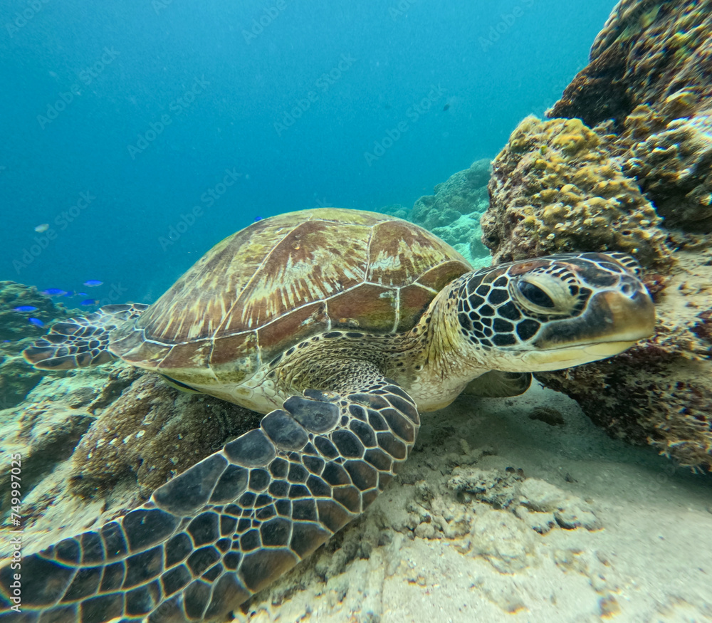 Fototapeta premium Scenes of Philippines