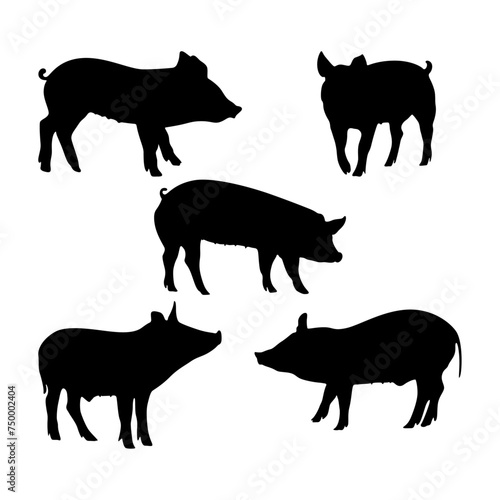 Pig silouette set vector illustration. photo